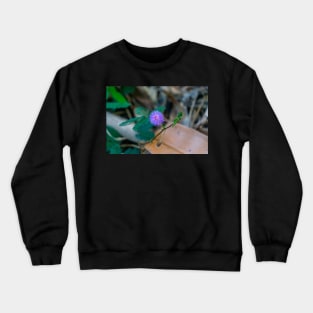 wildflower Crewneck Sweatshirt